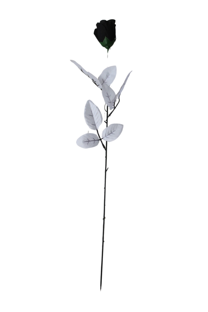 Baccara Rose ca 65 cm