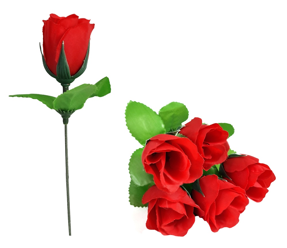 Rose rot ca 15 cm