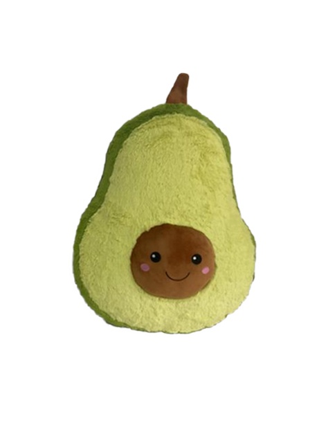 Avocado ca 25 cm