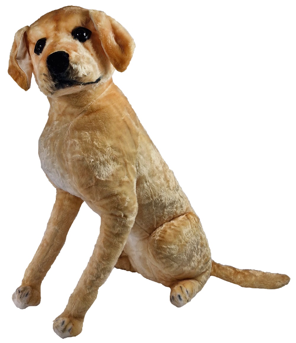 Plüsch Labrador ca 63cm