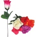 Rose 6 Farben ca 19 cm